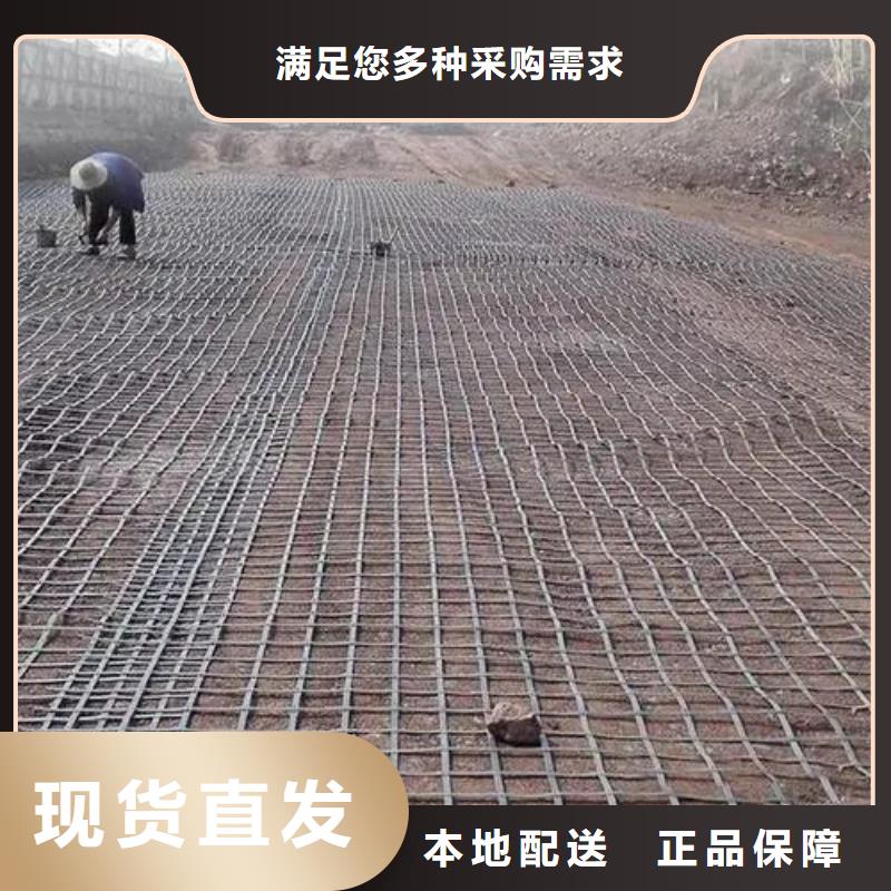 土工格栅土工膜敢与同行比价格