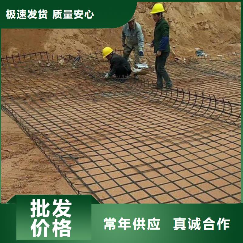 土工格栅-铜片止水厂家厂诚信经营