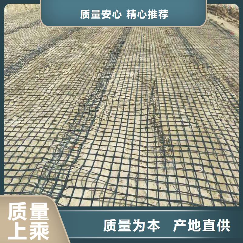塑料格栅来厂考察价格
