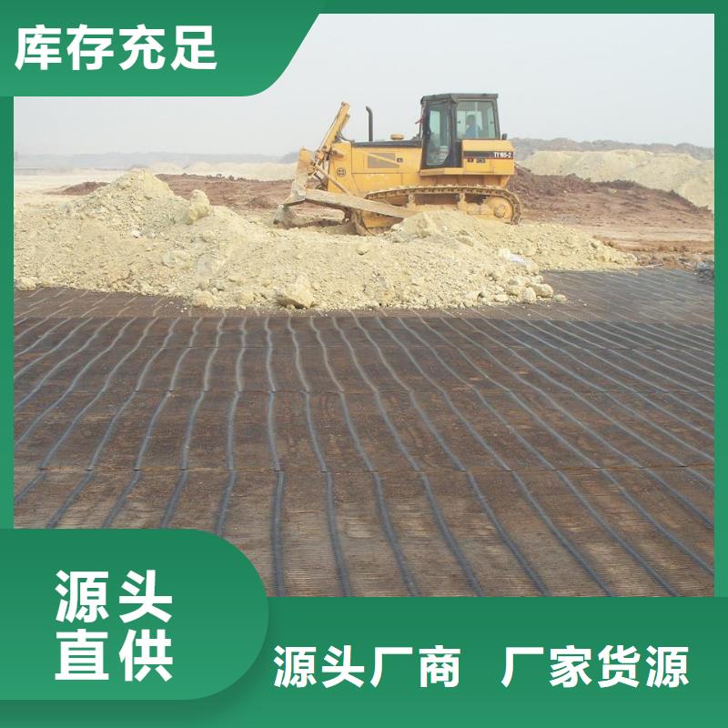 经编土工格栅订制厂家