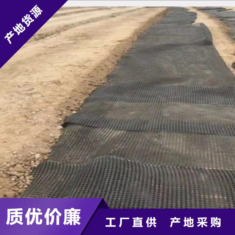 土工格栅施工图片