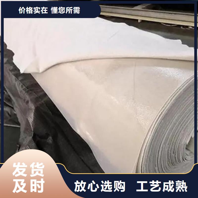 土工布铜止水今年新款