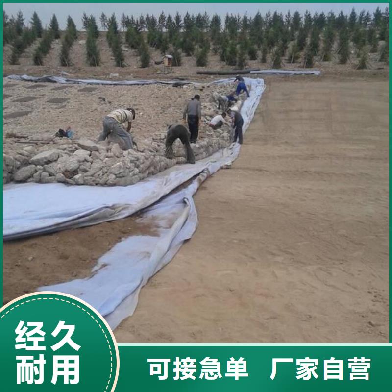 土工布-土工膜诚信商家