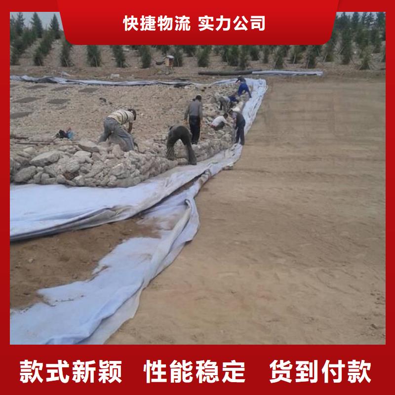 土工布_止水铜片品质好才是硬道理