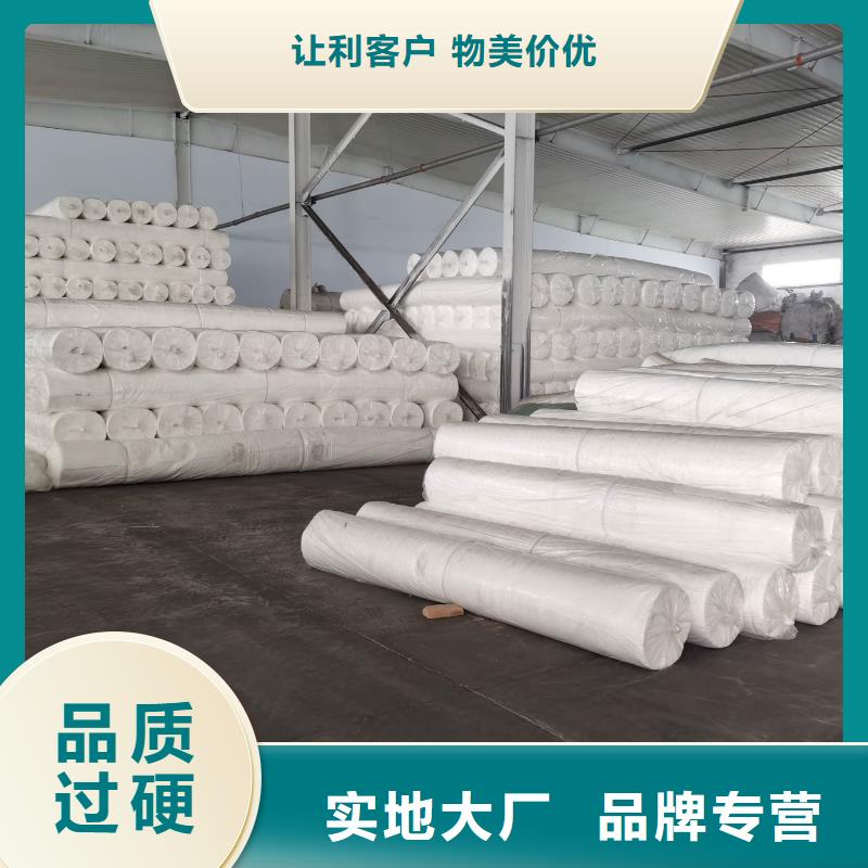 土工布铜止水今年新款