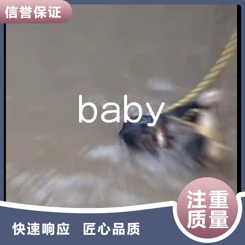 水下堵漏【水下清障】靠谱商家