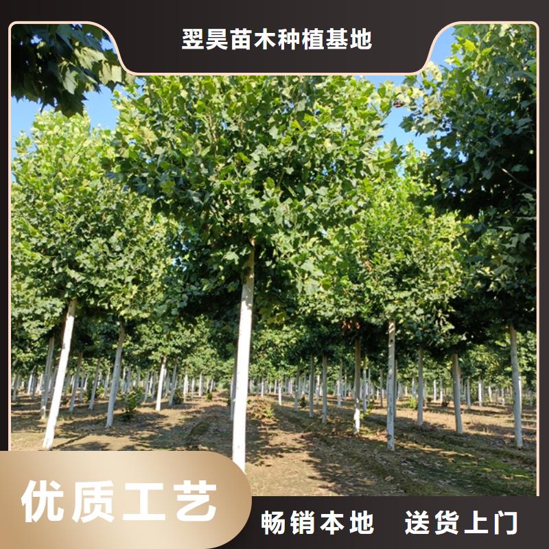  法桐追求细节品质