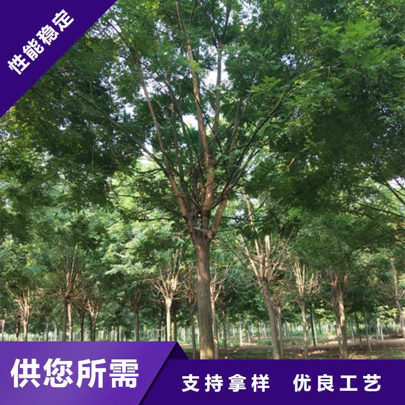 法桐品质信得过