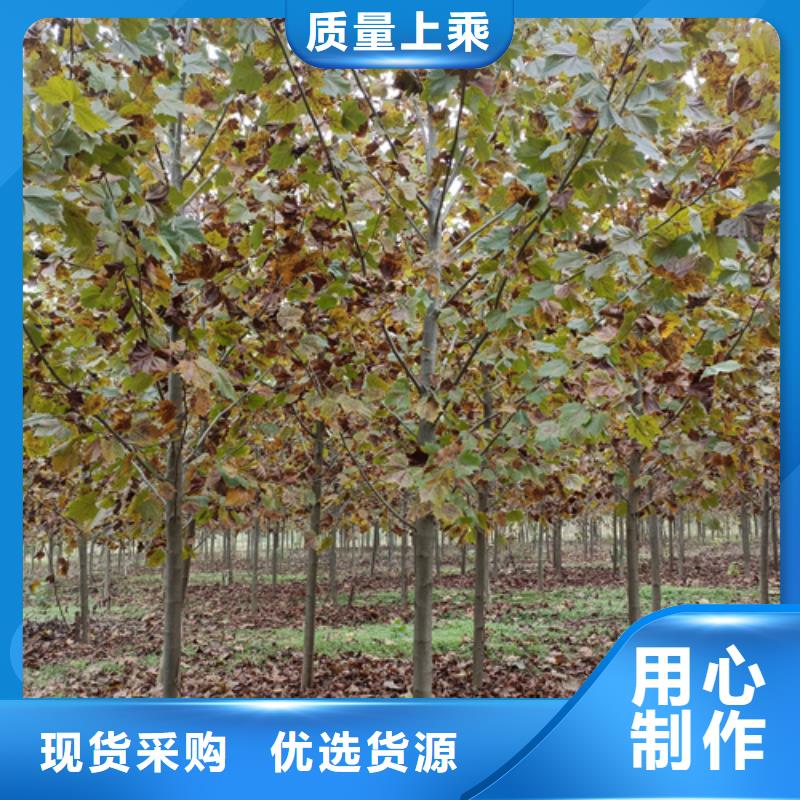 法桐好货有保障