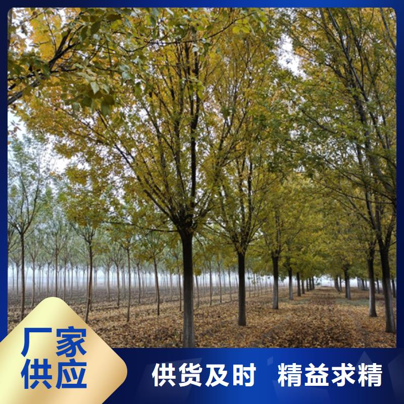 法桐品质信得过