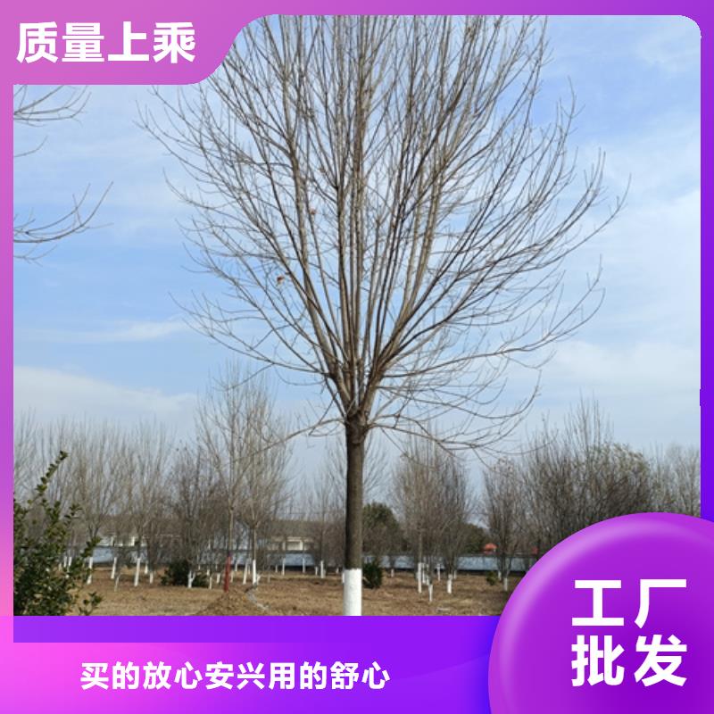 【法桐购买的是放心】