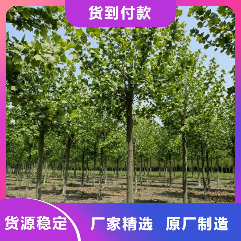 【法桐购买的是放心】