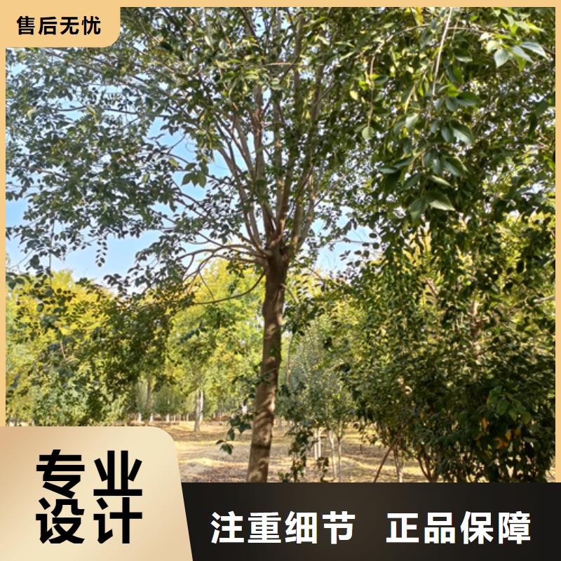 法桐品质信得过