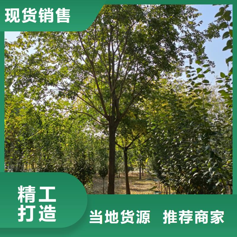 【法桐北京栾诚信商家】