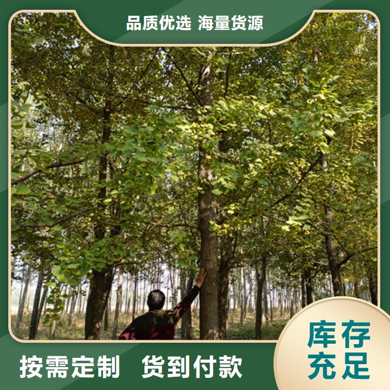 【法桐截杆发帽实力厂商】