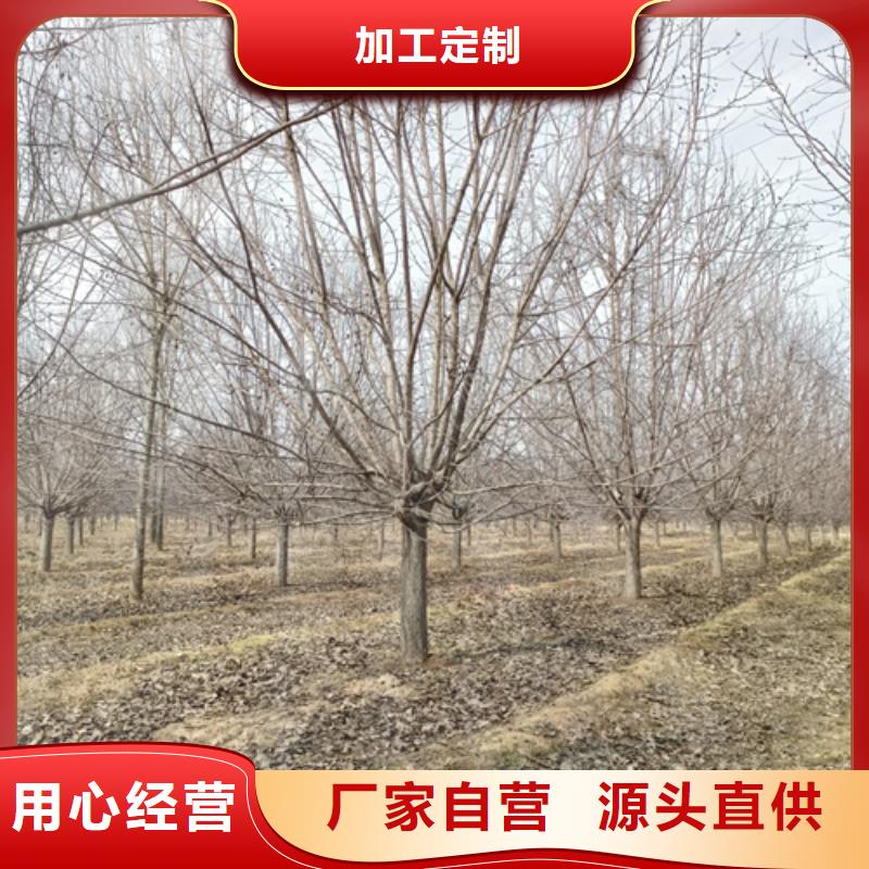 法桐安装简单