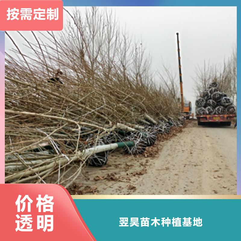 法桐好货有保障