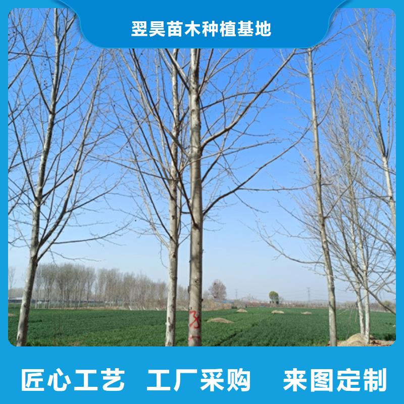 法桐型号全价格低
