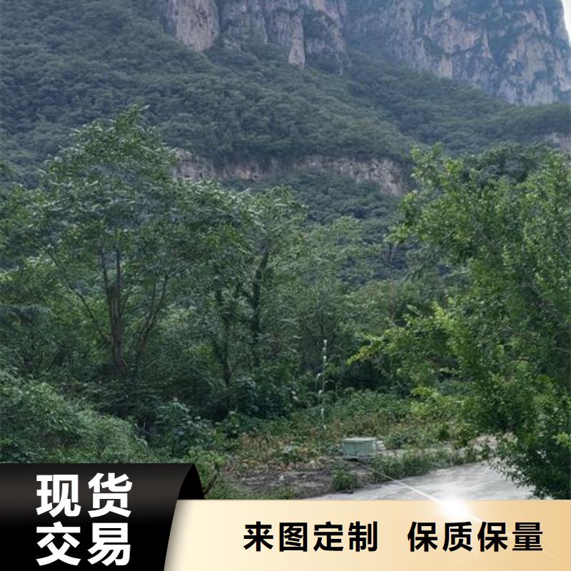 小型混凝土泵细石混凝土输送泵工厂直营