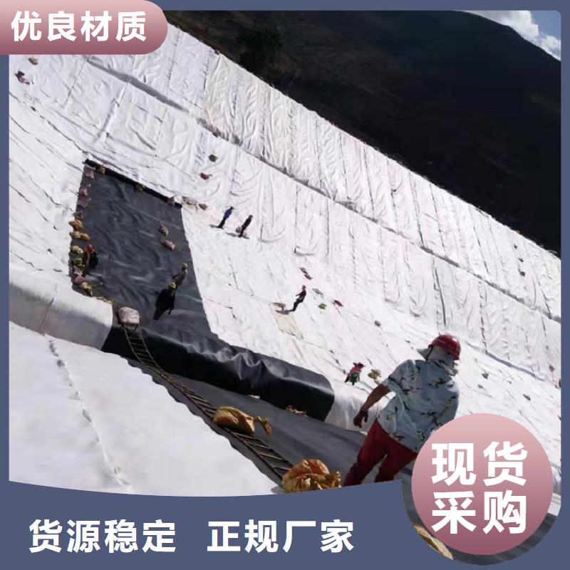 土工膜止水带厂家直销省心省钱