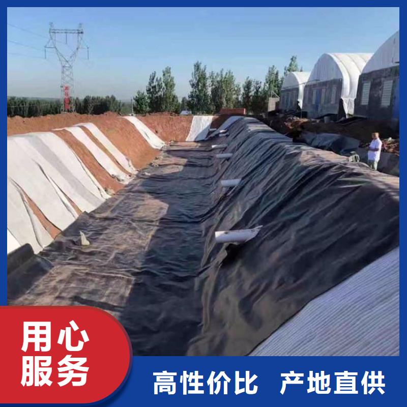 土工膜,双向土工格栅厂家直销直供