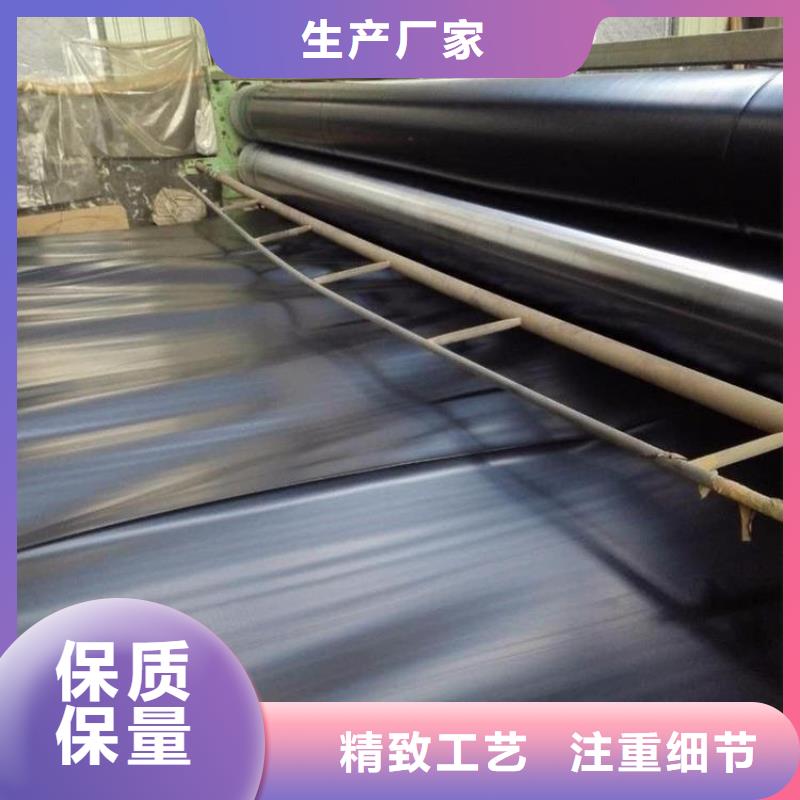 土工膜,双向土工格栅厂家直销直供