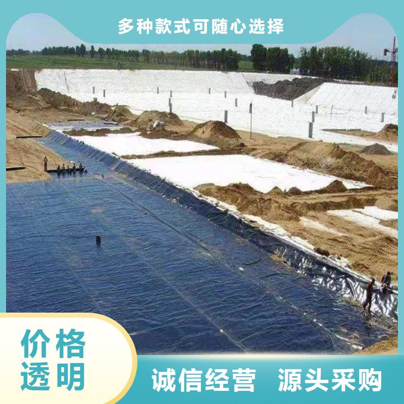土工膜,双向土工格栅厂家直销直供