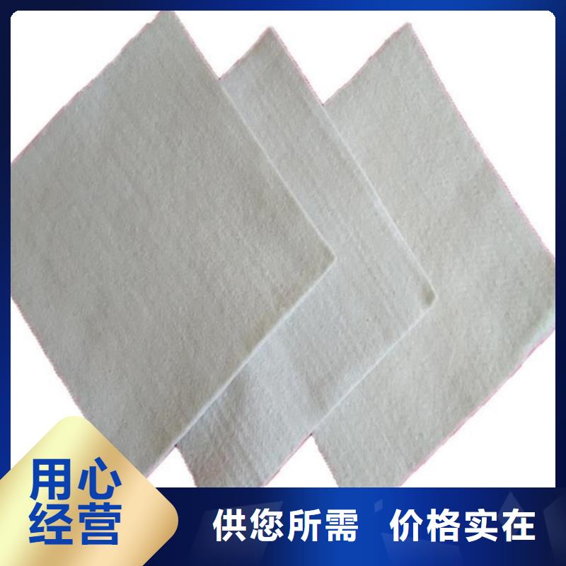 土工布玻纤格栅专业生产厂家