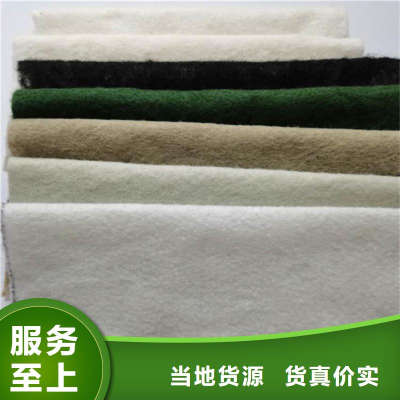土工布网格布根据要求定制