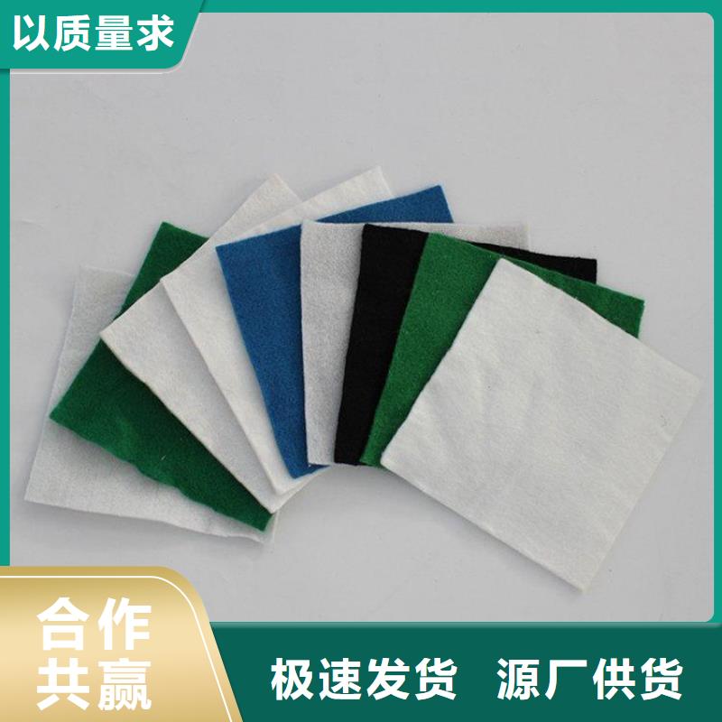 土工布玻纤格栅专业生产厂家