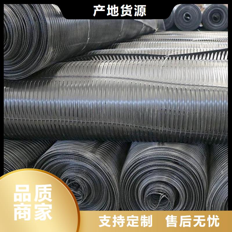 【土工格栅钢塑土工格栅厂家现货供应】