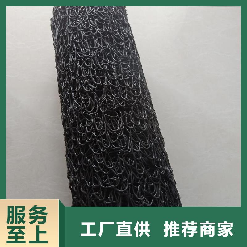 塑料盲沟土工格栅符合行业标准