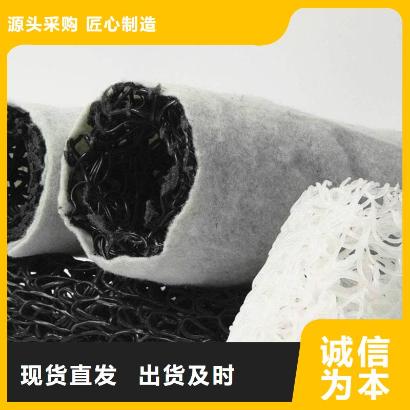 塑料盲沟-防水板讲信誉保质量