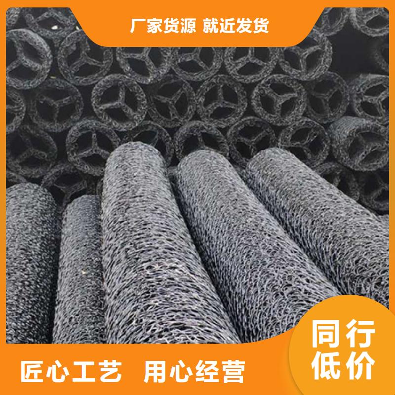 塑料盲沟土工格栅认准大品牌厂家