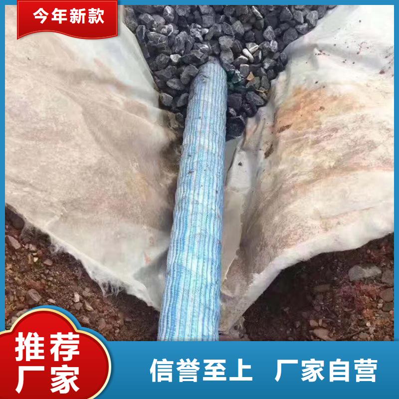 【软式透水管】-生态带规格齐全实力厂家