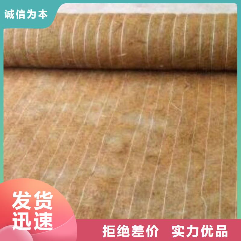 椰丝毯-土工布款式新颖