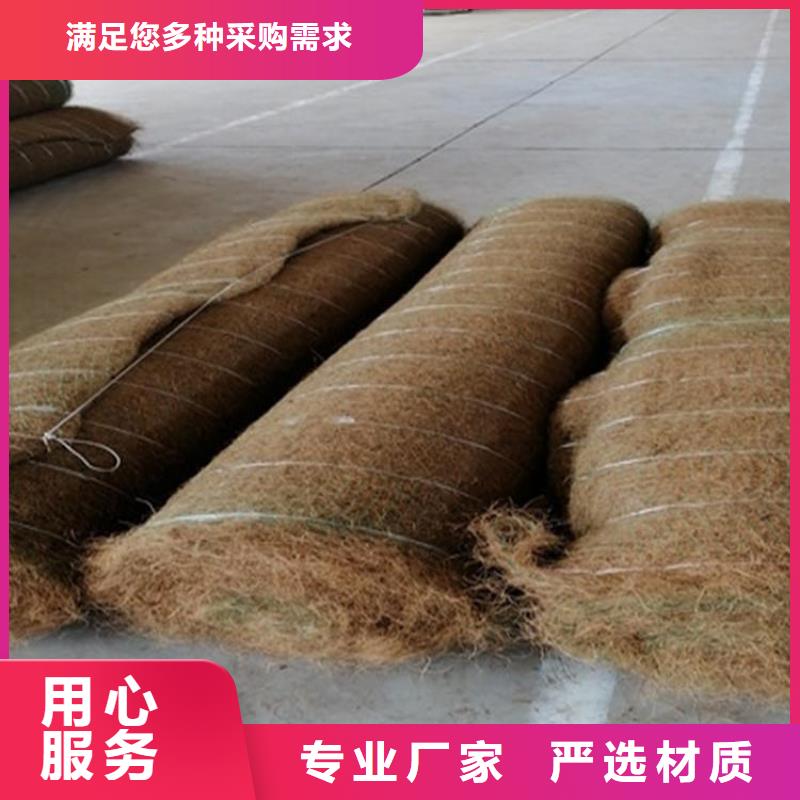 【椰丝毯双向塑料土工格栅市场行情】