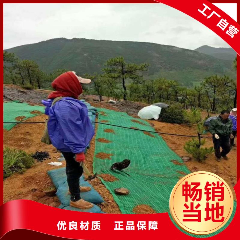 椰丝毯土工格栅品牌大厂家