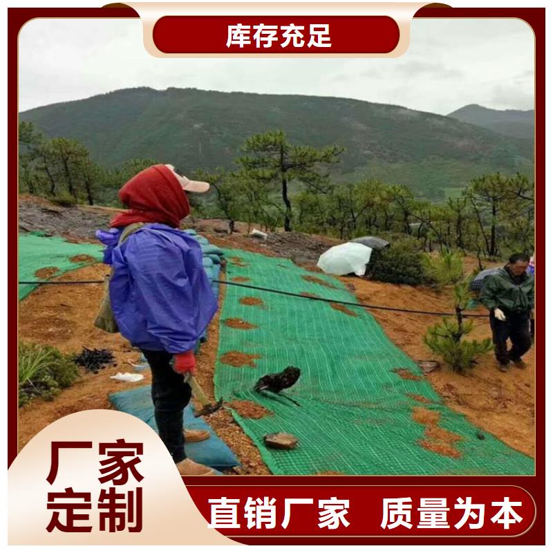 椰丝毯-土工布款式新颖