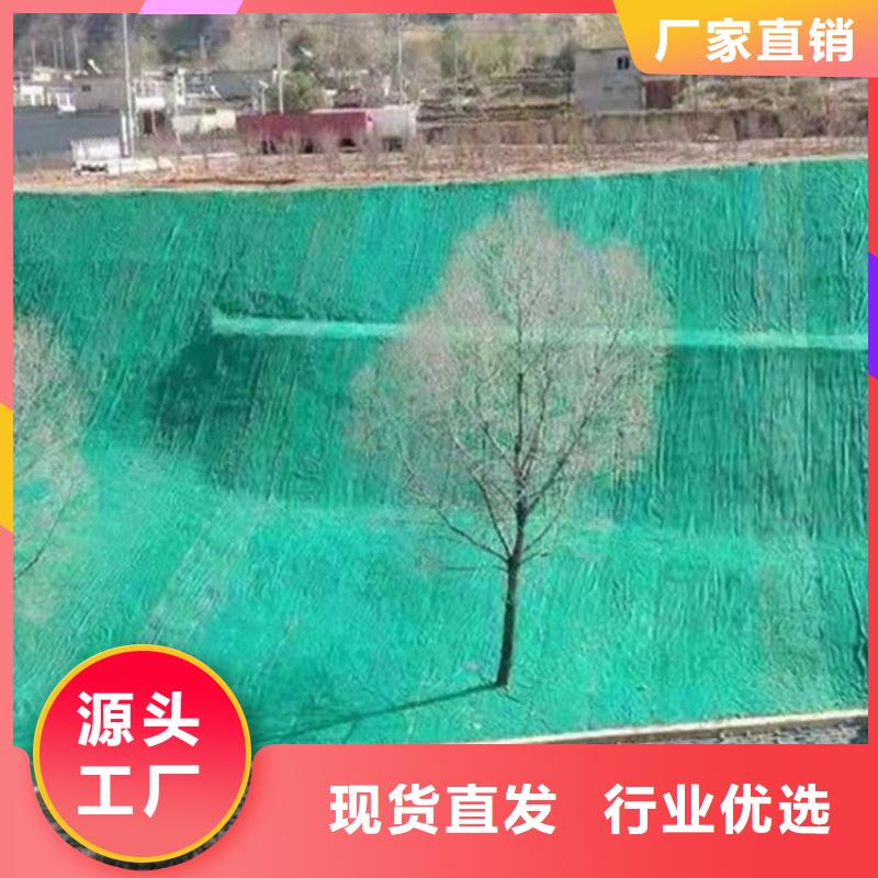椰丝毯硬式透水管实体诚信厂家