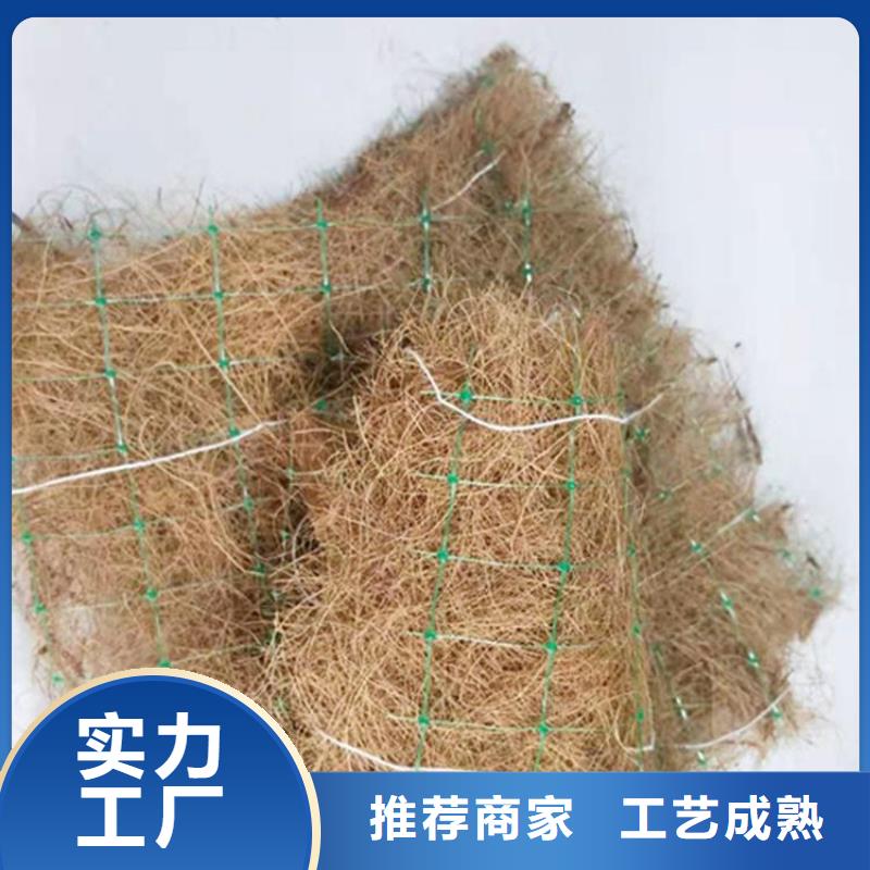 【椰丝毯双向塑料土工格栅市场行情】