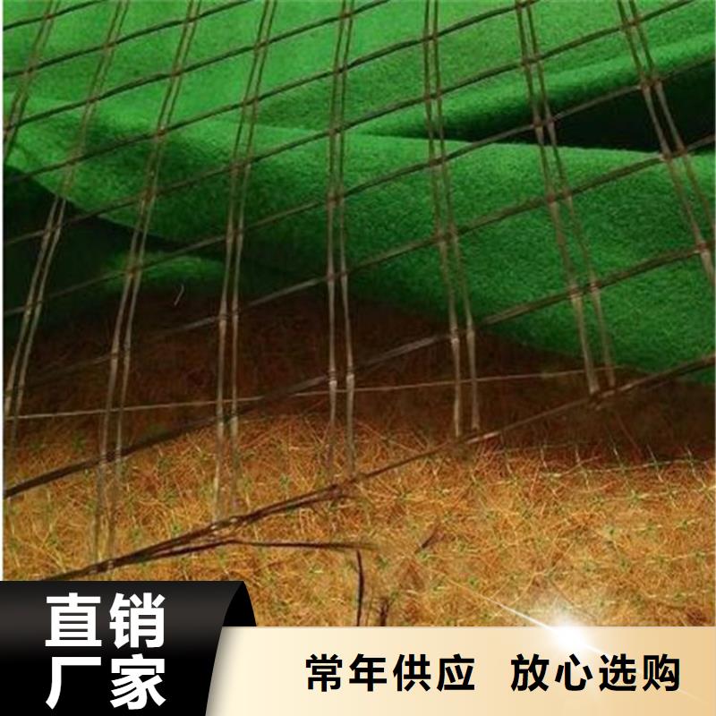 【椰丝毯双向塑料土工格栅市场行情】