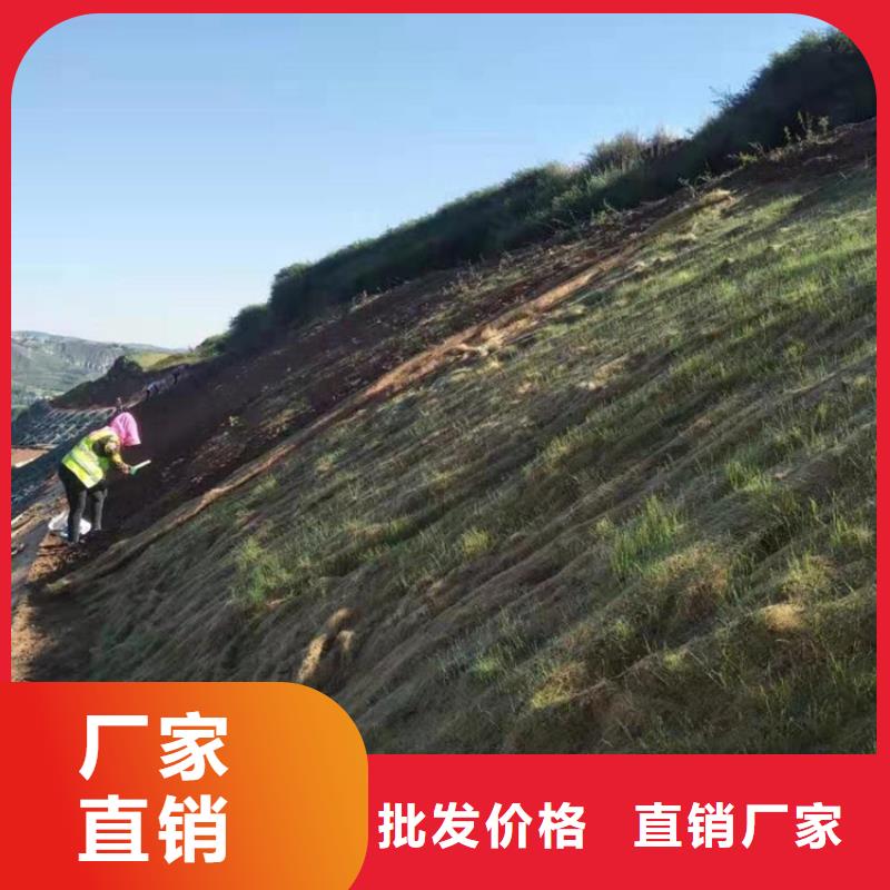 【椰丝毯_矿用格栅真诚合作】