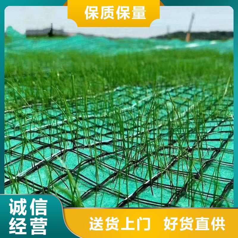 【椰丝毯】聚酯布产品参数