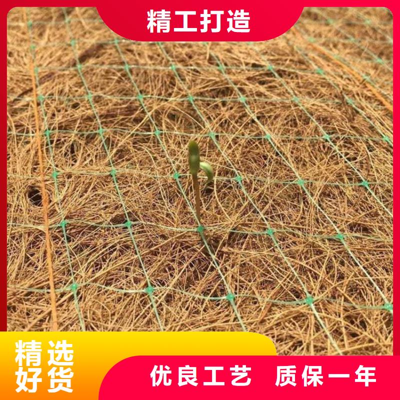 椰丝毯,土工格栅敢与同行比价格