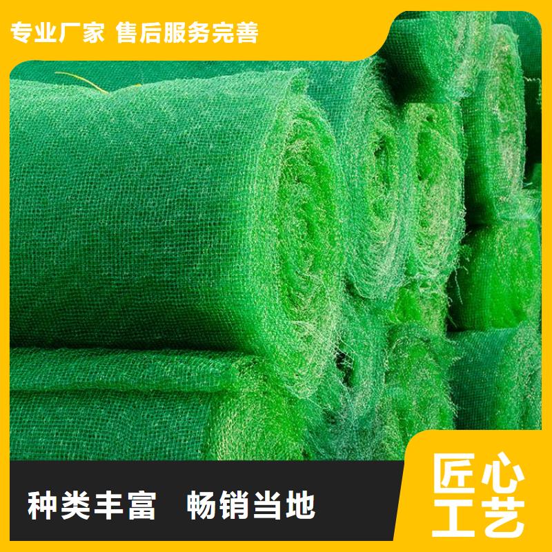 三维植被网防水板我们更专业