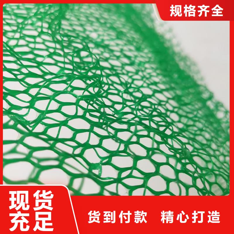 三维植被网防水板我们更专业