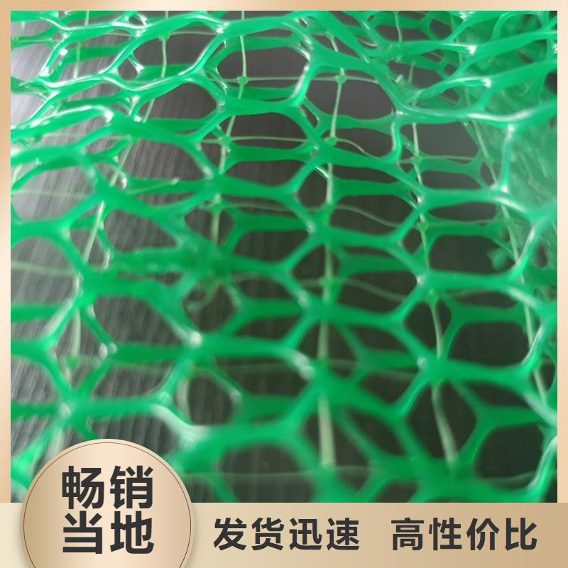 三维植被网防水板我们更专业