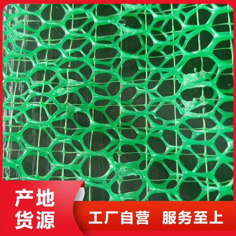 三维植被网编织布免费获取报价