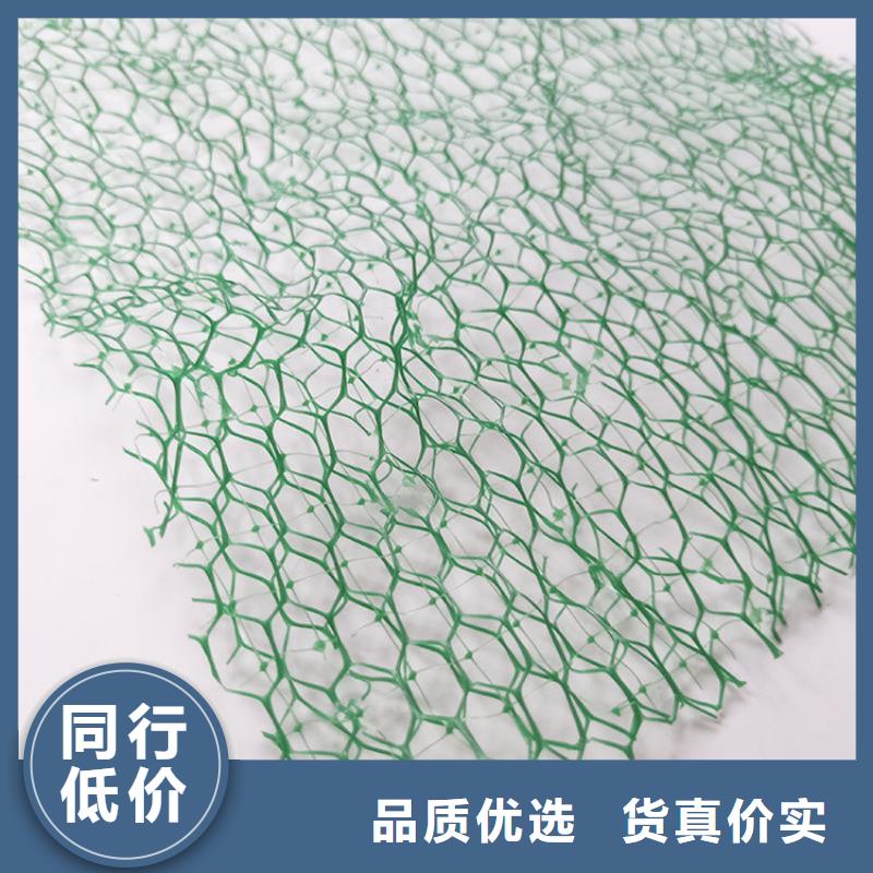 三维植被网土工格栅诚信厂家